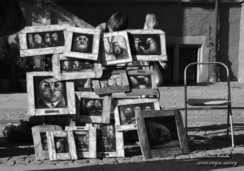 Kliknij na zdjęcie, żeby zobaczyć w pełnych wymiarach