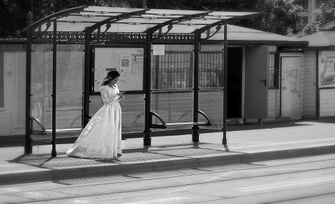 Kliknij na zdjęcie, żeby zobaczyć w pełnych wymiarach