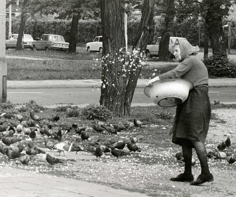 Kliknij na zdjęcie, żeby zobaczyć w pełnych wymiarach