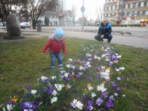 Kliknij na zdjęcie, żeby zobaczyć w pełnych wymiarach