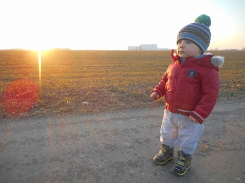 Kliknij na zdjęcie, żeby zobaczyć w pełnych wymiarach