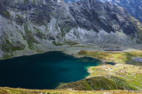 Kliknij na zdjęcie, żeby zobaczyć w pełnych wymiarach
