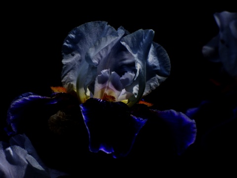 Kliknij na zdjęcie, żeby zobaczyć w pełnych wymiarach