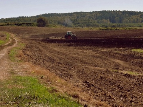 Kliknij na zdjęcie, żeby zobaczyć w pełnych wymiarach