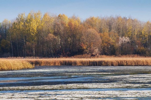Kliknij na zdjęcie, żeby zobaczyć w pełnych wymiarach