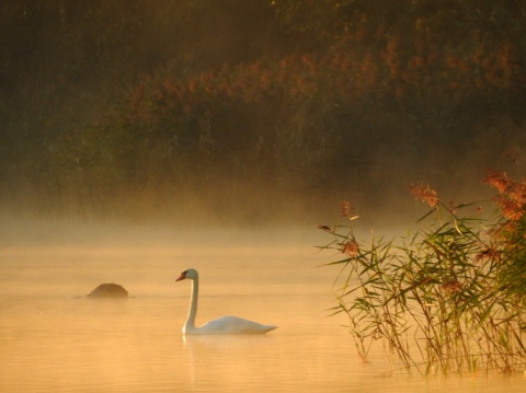 Kliknij na zdjęcie, żeby zobaczyć w pełnych wymiarach