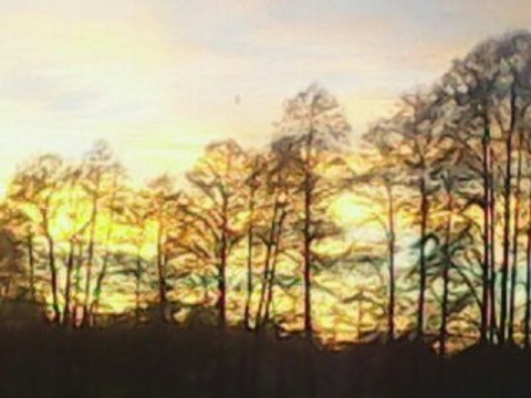 Kliknij na zdjęcie, żeby zobaczyć w pełnych wymiarach