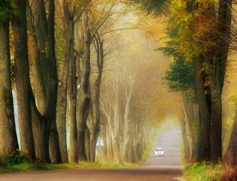 Kliknij na zdjęcie, żeby zobaczyć w pełnych wymiarach