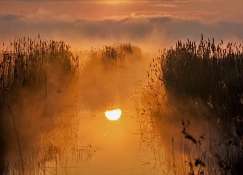 Kliknij na zdjęcie, żeby zobaczyć w pełnych wymiarach