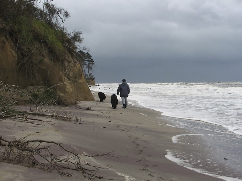 Kliknij na zdjęcie, żeby zobaczyć w pełnych wymiarach