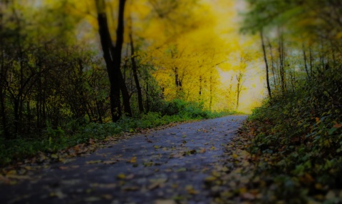 Kliknij na zdjęcie, żeby zobaczyć w pełnych wymiarach