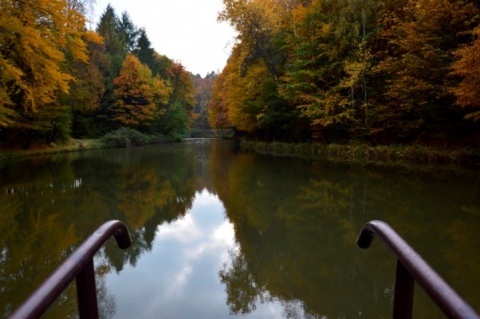 Kliknij na zdjęcie, żeby zobaczyć w pełnych wymiarach
