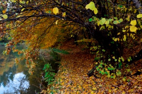 Kliknij na zdjęcie, żeby zobaczyć w pełnych wymiarach