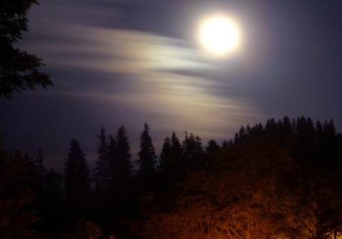 Kliknij na zdjęcie, żeby zobaczyć w pełnych wymiarach