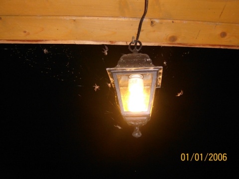 Kliknij na zdjęcie, żeby zobaczyć w pełnych wymiarach