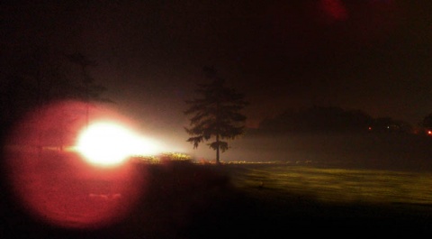 Kliknij na zdjęcie, żeby zobaczyć w pełnych wymiarach