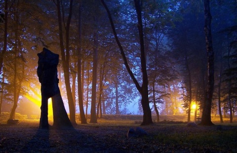 Kliknij na zdjęcie, żeby zobaczyć w pełnych wymiarach