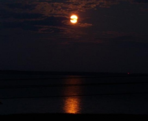 Kliknij na zdjęcie, żeby zobaczyć w pełnych wymiarach