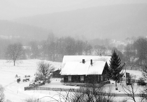 Kliknij na zdjęcie, żeby zobaczyć w pełnych wymiarach