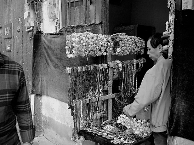 Kliknij na zdjęcie, żeby zobaczyć w pełnych wymiarach