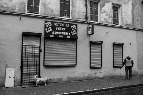 Kliknij na zdjęcie, żeby zobaczyć w pełnych wymiarach