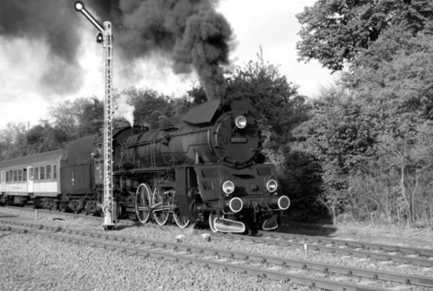 Kliknij na zdjęcie, żeby zobaczyć w pełnych wymiarach