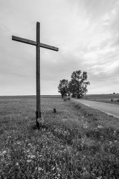 Kliknij na zdjęcie, żeby zobaczyć w pełnych wymiarach