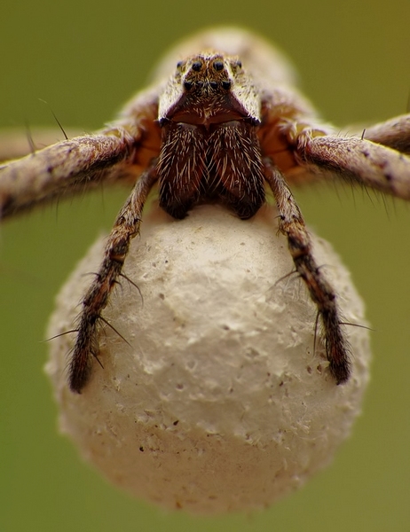 Kliknij na zdjęcie, żeby zobaczyć w pełnych wymiarach