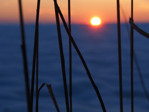 Kliknij na zdjęcie, żeby zobaczyć w pełnych wymiarach