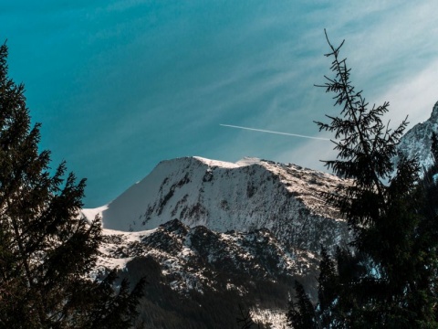 Kliknij na zdjęcie, żeby zobaczyć w pełnych wymiarach