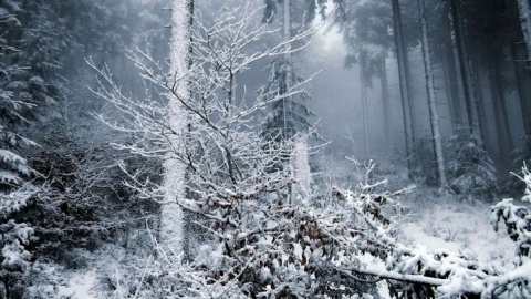 Kliknij na zdjęcie, żeby zobaczyć w pełnych wymiarach