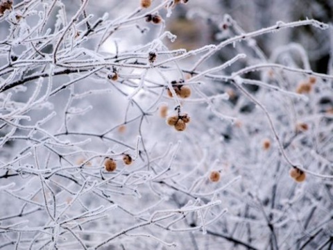 Kliknij na zdjęcie, żeby zobaczyć w pełnych wymiarach