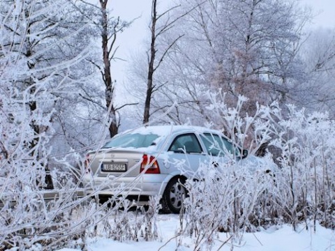 Kliknij na zdjęcie, żeby zobaczyć w pełnych wymiarach