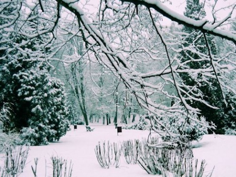 Kliknij na zdjęcie, żeby zobaczyć w pełnych wymiarach