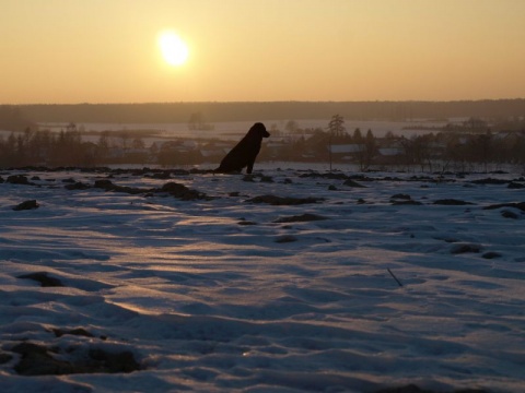 Kliknij na zdjęcie, żeby zobaczyć w pełnych wymiarach