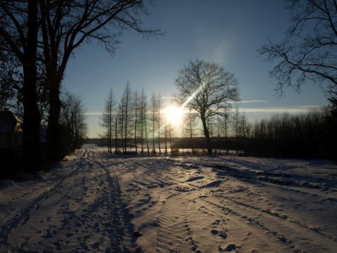 Kliknij na zdjęcie, żeby zobaczyć w pełnych wymiarach