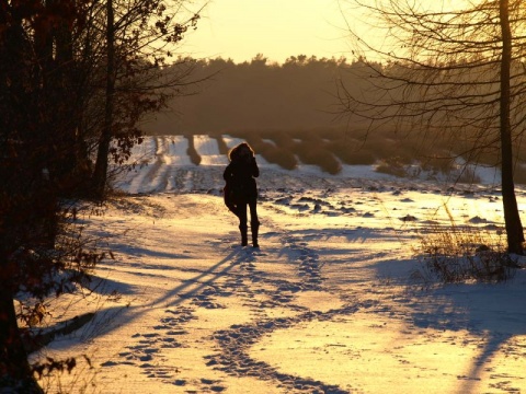 Kliknij na zdjęcie, żeby zobaczyć w pełnych wymiarach