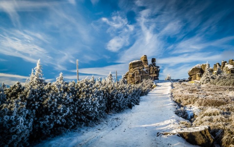 Kliknij na zdjęcie, żeby zobaczyć w pełnych wymiarach