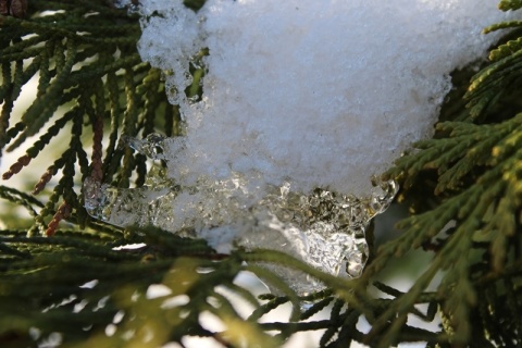 Kliknij na zdjęcie, żeby zobaczyć w pełnych wymiarach