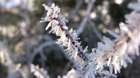 Kliknij na zdjęcie, żeby zobaczyć w pełnych wymiarach