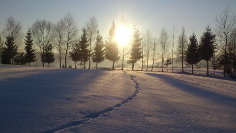 Kliknij na zdjęcie, żeby zobaczyć w pełnych wymiarach