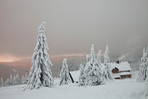 Kliknij na zdjęcie, żeby zobaczyć w pełnych wymiarach