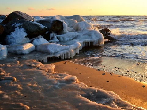 Kliknij na zdjęcie, żeby zobaczyć w pełnych wymiarach
