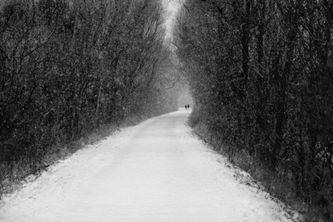 Kliknij na zdjęcie, żeby zobaczyć w pełnych wymiarach