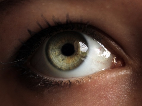 Kliknij na zdjęcie, żeby zobaczyć w pełnych wymiarach