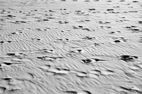 Kliknij na zdjęcie, żeby zobaczyć w pełnych wymiarach