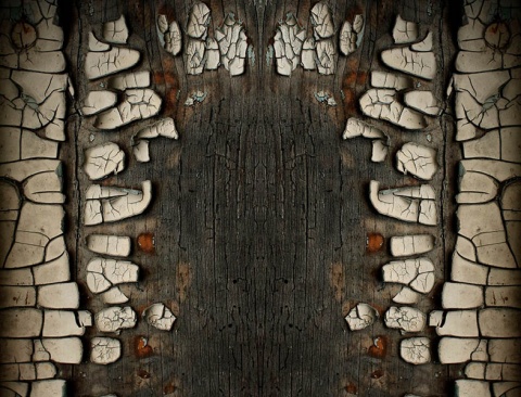 Kliknij na zdjęcie, żeby zobaczyć w pełnych wymiarach