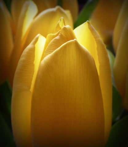 Kliknij na zdjęcie, żeby zobaczyć w pełnych wymiarach