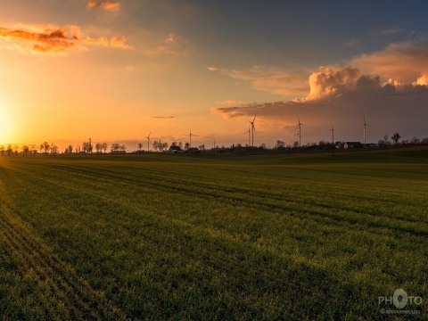 Kliknij na zdjęcie, żeby zobaczyć w pełnych wymiarach