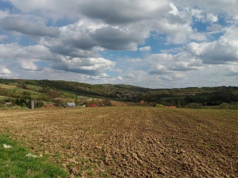 Kliknij na zdjęcie, żeby zobaczyć w pełnych wymiarach